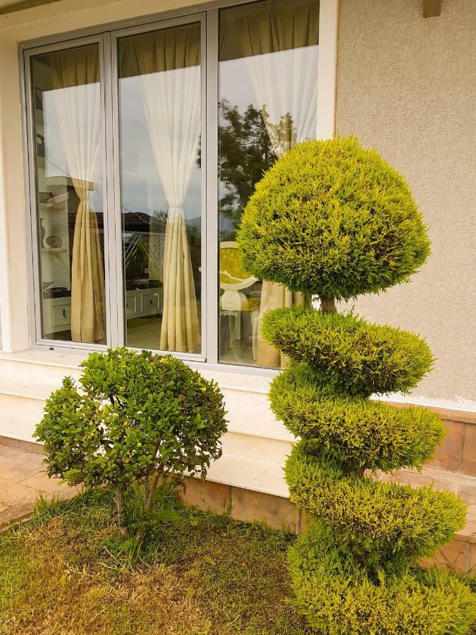 Vila Elida Tragjas ภายนอก รูปภาพ