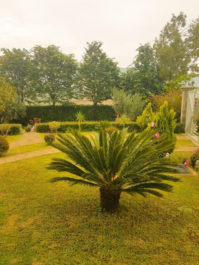 Vila Elida Tragjas ภายนอก รูปภาพ